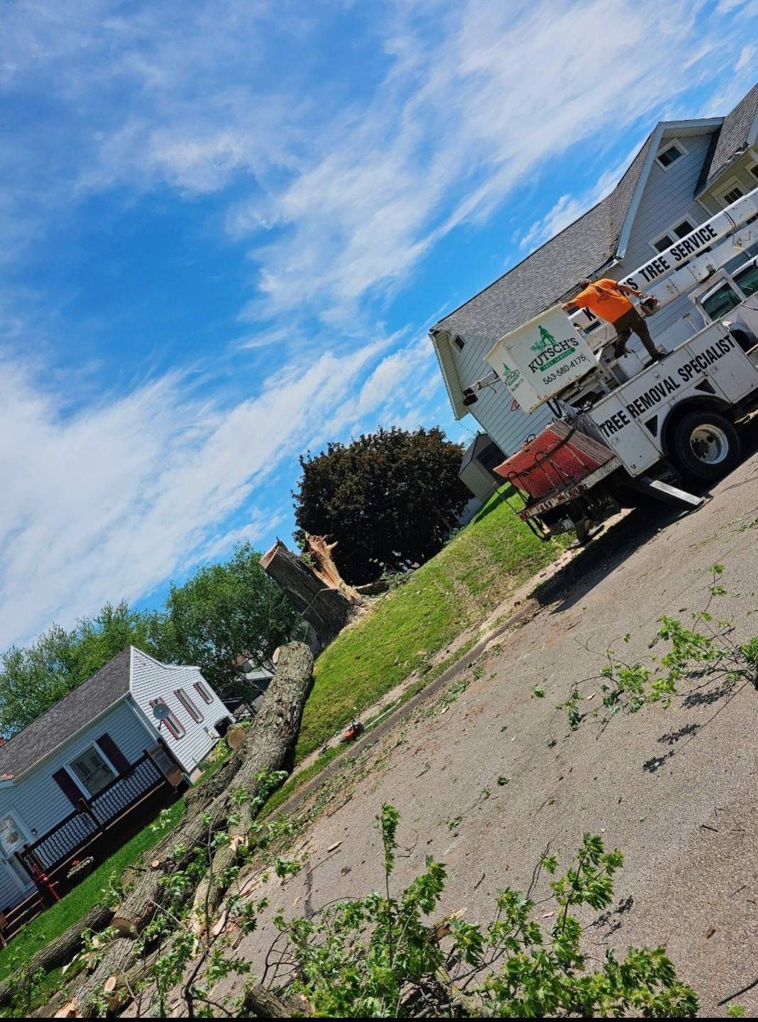 Kutsch Tree Service logo